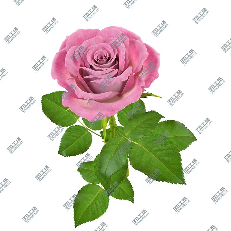 images/goods_img/20210319/Rose 15/5.jpg